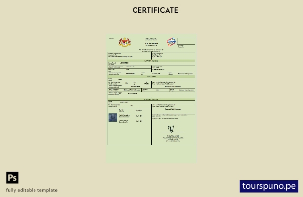 listo para imprimir certificado de nacimiento de Malasia Plantilla en Word y PDF